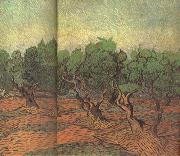 Vincent Van Gogh Olive Grove (nn04) USA oil painting reproduction